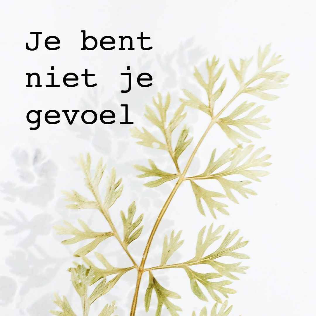 Je bent niet wat je voelt op denkt Monique Slabbers